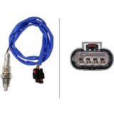 LBS00335