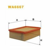 WA6667