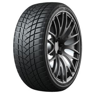 GT-Radial Winterpro 2 Sport