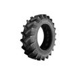 Alliance 333 Agro Forestry