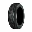 Dunlop Winter Trail